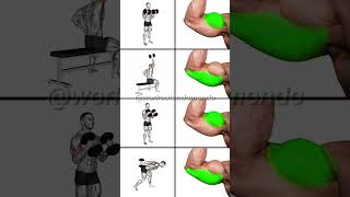 GET BIGGER ARMS Using DUMBBELLS Build Muscle FAST [upl. by Ydnyc508]