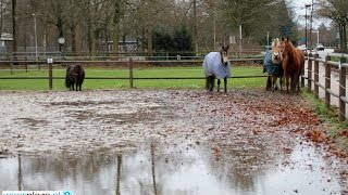 Weerbericht donderdagochtend Onstuimig en nat [upl. by Navillus]