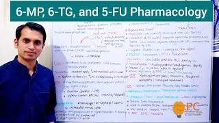 Anticancer Drugs Part 5 Pharmacology of Mercaptopurine Thioguanine and Fluorouracil [upl. by Akeyla464]