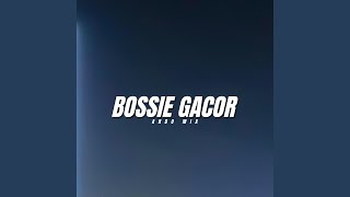 Bossie Gacor [upl. by Godbeare]