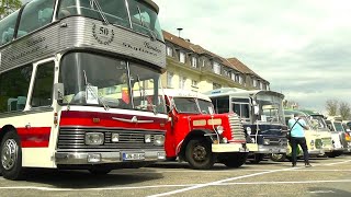 6th Vintage Bus amp Coach Gathering in Speyer Germany [upl. by Marcello]