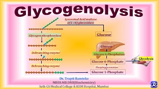 13 Glycogenolysis  Carbohydrate Metabolism  Biochemistry NJOY Biochemistry [upl. by Ylim]