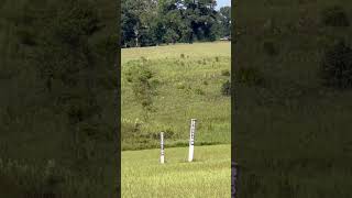 The North Gate  Andersonville Prison civilwar prison prisoner history historic [upl. by Farmelo]