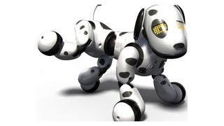 Zoomer The interactive Robot Pet Dog Hands on Review [upl. by Akinar]