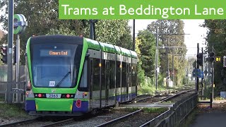 Trams At Beddington Lane London Trams [upl. by Merc]