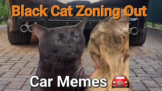 Car Memes 🚘  Black Cat Zoning Out Memes  Car Edition [upl. by Chara]