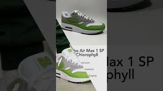 2024 Nike Air Max 1 SP Patta Chlorophyll kixxstar [upl. by Janene]