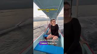 Swimming with dolphin at Lovina  Part 2 travel dolphin beautifulyoutubeshorts [upl. by Tiny]