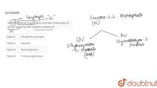 In EMP hexose sugar splits into two molecules of triose sugar by the cataiytic activity of [upl. by Mauer]