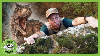 Park Ranger Saved From GIANT TRex Life Size TRex TRex Ranch Dinosaur Videos [upl. by Annanhoj]