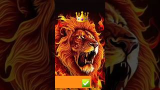 Lion 🦁 Roar  lion sounds lion lionattitude music sound shorts lion growls [upl. by Ittam245]