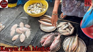 Karwar Fish Market  Sea Food Heaven  Konkani Fish Market  Goa Fish Market  FORK [upl. by Hedve]