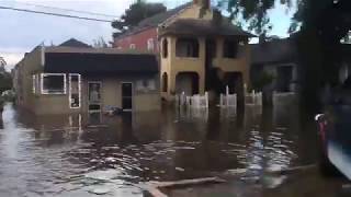 See flooding in New Orleans at Canal St and Carrollton Avenue [upl. by Eelrehpotsirhc]