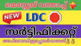 കാത്തിരുന്ന ജില്ല LDC CERTIFICATE UPLOAD MESSAGE എത്തി ❤️‍🔥CUT OFF PSCLDC CUT OFF MARKLDC 2024 [upl. by Ellemrac]