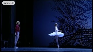 Tchaikovsky  The Nutcracker [upl. by Odravde]