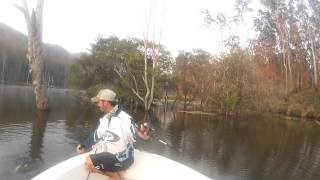 Toga Fishing At Borumba Dam [upl. by Genna]