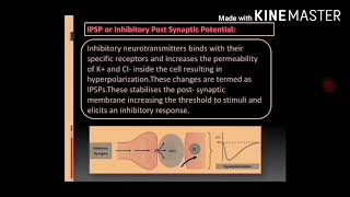 NHT and SynthesisStorage and Release of Neurotransmitters in Adrenergic and Cholinergic neurons [upl. by Doti749]