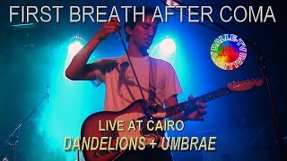 First Breath After Coma  Dandelions  Umbrae  Live [upl. by Nautna461]