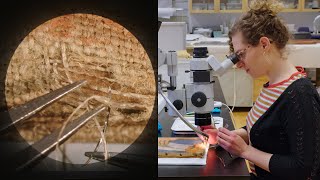 Microscopically reweaving a 1907 painting  CONSERVATION STORIES [upl. by Avehsile]