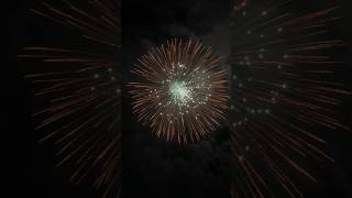 8 Firework fireworks pyromagic pyrotecnic skyshot [upl. by Nner]