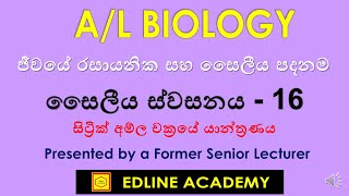 Mechanism of Citric Acid Cycle  Cellular Respiration 16 Advanced Level Biology Sinhala Lessons [upl. by Nyloc]