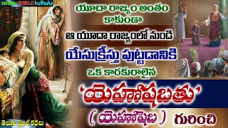 యెహోషబతు యెహోషెబ గురించి  Jehoshaphat Jehosheba Story  Telugu Bible Kathalu [upl. by Valenza]