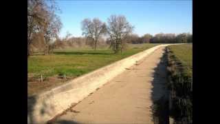 Fremont Weir Wildlife Area  Feb 14 2013 [upl. by Enialem403]