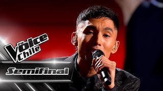 Pablo Rojas  Te amaré  Semifinal  The Voice Chile [upl. by Kinney]