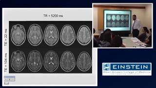 Introducing MRI Contrast Agents 13 of 56 [upl. by Baggett]