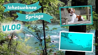 Camping at Ichetucknee Springs  Travel Vlog [upl. by Yrred358]