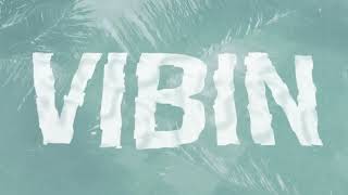 Ylona Garcia  Vibin Official Lyric Video [upl. by Fachini]