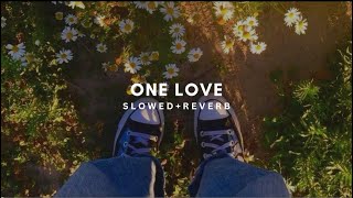 One Love  SlowedReverb  Shubh [upl. by Milano]