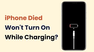 🔥2024 Tutorial Guide iPhone Died and Wont Turn On While Charging 🤩5 Real Methods to Fix It [upl. by Xavler]