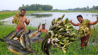 ডোবা থেকে শাপলা তুলে পাকা হলুদ কৈ মাছ দিয়ে জমিয়ে রান্না করে খাওয়া  Climbing perch amp water lily [upl. by Schilit]