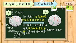 2 1 2 染色体与生物的遗传有关（有丝分裂）16分钟53秒 左图是8条DNA [upl. by Kalagher]