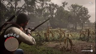 RDR2  Weapons Expert 9 Easy Method [upl. by Lipkin]