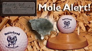 Mole ALERT  The Molehill as Display for a Golf Ball [upl. by Ahsap]