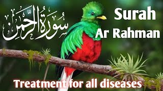 surah ar Rahman treatment for all diseases and problems listen every day Noor e quran 2M 🕋 [upl. by Notnek]