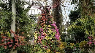 The Orchid Show 2019 Singapore [upl. by Adnahcir]