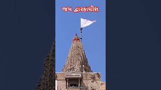 Dwarkadhish temple Dwarka dwarka dwarkadhish [upl. by Baily]