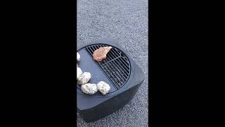 Vermont Castings Cooking Grill and Fire Pit video review by Christy [upl. by Driskill360]