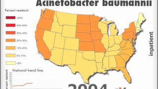 Imipenemresistant Acinetobacter baumannii [upl. by Allenaj]