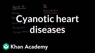 Cyanotic heart diseases  Diagnosis and treatment  NCLEXRN  Khan Academy [upl. by Sunil]