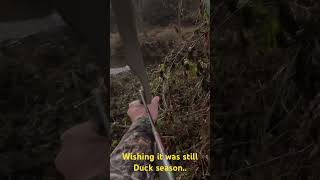 Wabbit season  hunting shortvideos reels nature instagram archery fyp shortsfeed viral [upl. by Omura]