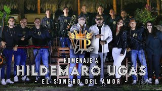 Hildemaro Mix  VIP Orquesta [upl. by Billi]