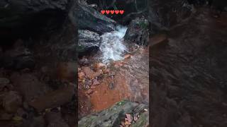 Apsarakonda Falls Honnavar Karnataka ❤️shorts trending youtubeshorts falls [upl. by Stetson]