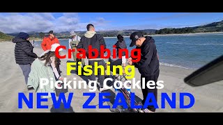 CRABBING  FISHING AND PICKING COCKLES HERE IN NEW ZEALAND DUNEDIN 2024 [upl. by Arihsat]