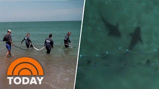 Inside look at new technology that aims to prevent shark attacks [upl. by Romilda528]