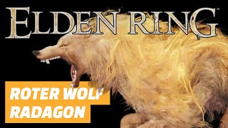 Elden Ring  Boss Roter Wolf Radagon besiegen Zauber Komet und Götzenschule Talisman finden [upl. by Chud]