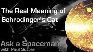 The Real Meaning of Schrodingers Cat  Ask a Spaceman [upl. by Atikahc]